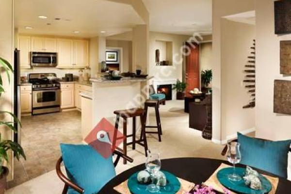 Enclave Condominium Rentals