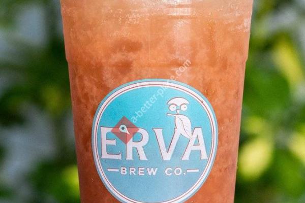 Erva Brew Co. Yerba Mate