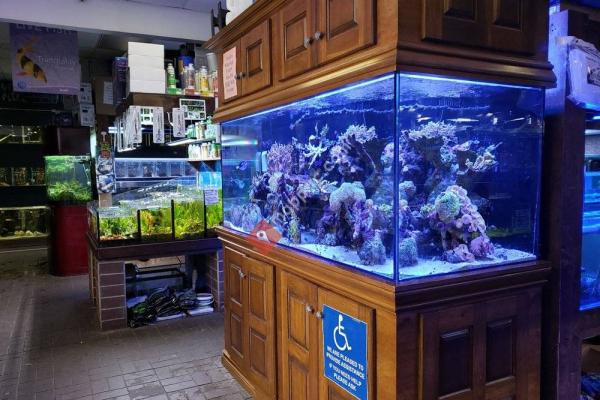 Exotic Aquariums