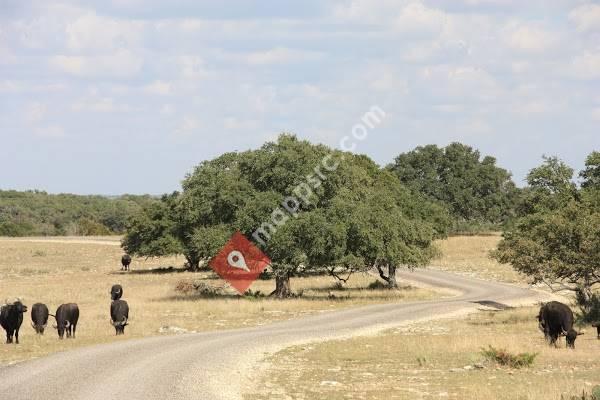 Faglie Construction LLC