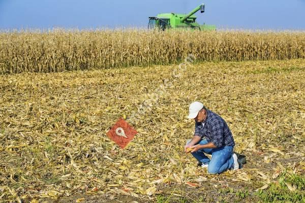 Farm Credit of Southwest Kansas