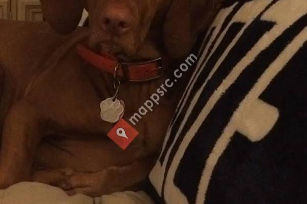 Fergus Falls Animal Care Clinic