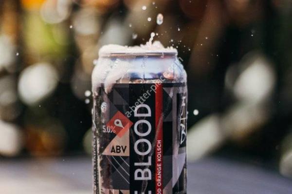 Final Draft Brewing Company