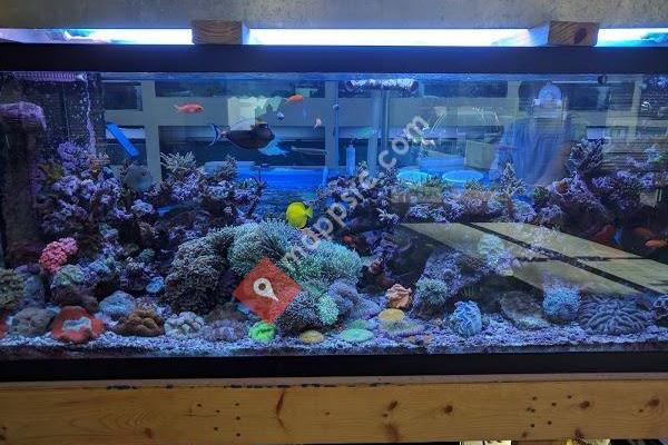 Fintastic Aquariums of Wake County Inc