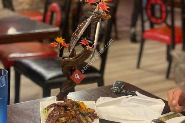 Fire Stone Chinese Cuisine