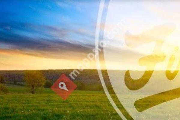 First Financial Bank Charleston