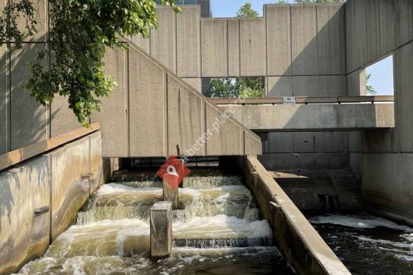 Fish Ladder Park