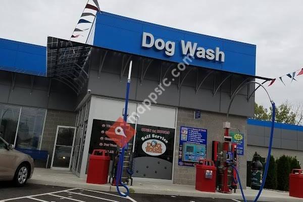 Foam & Wash Car Wash