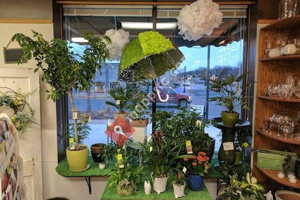 Forget-Me-Not Florist