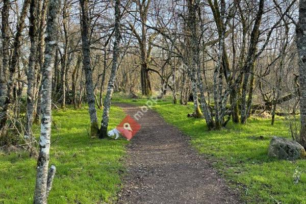 Fort Steilacoom Park