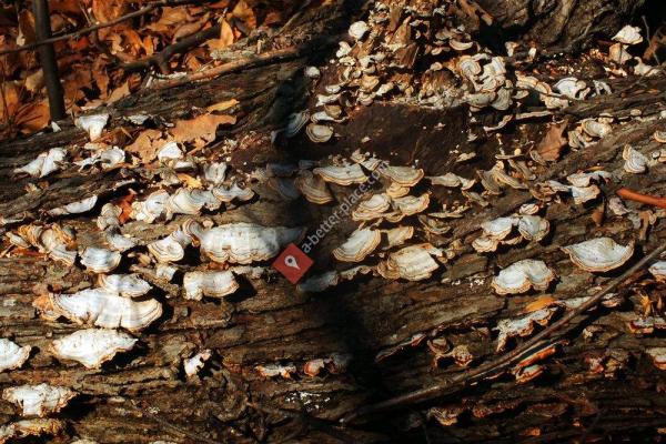 Fort Washington Marina - Piscataway Park