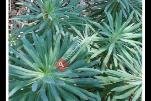 Freedom Park Bird and Butterfly Garden.