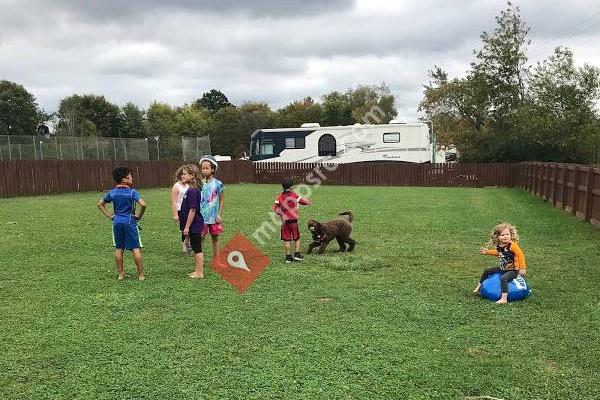 Friendly Paws Pet Resort