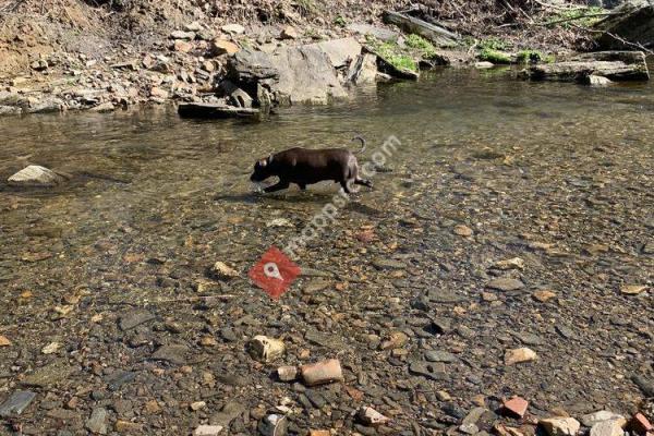 Friends of West Mill Creek Park