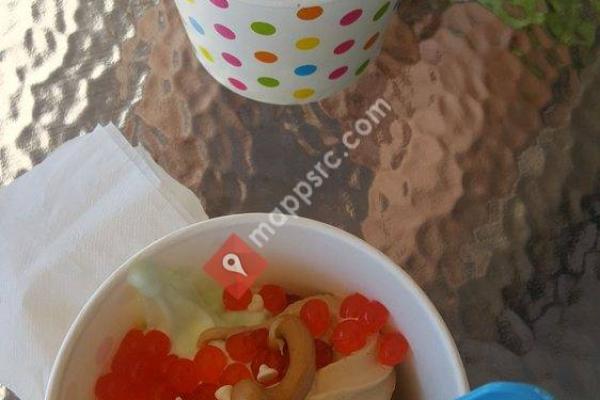 Fro-Yo Delite Morgan Hill