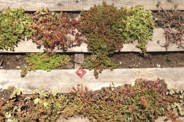 Gallacci Garden Park At The Market