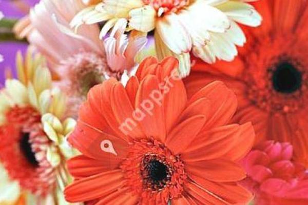 Garden City Floral - Missoula Flower Delivery