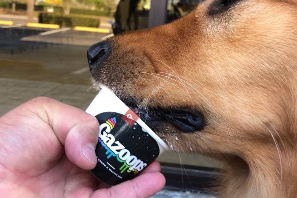 Gazoops Ice Cream and Waffle Bar