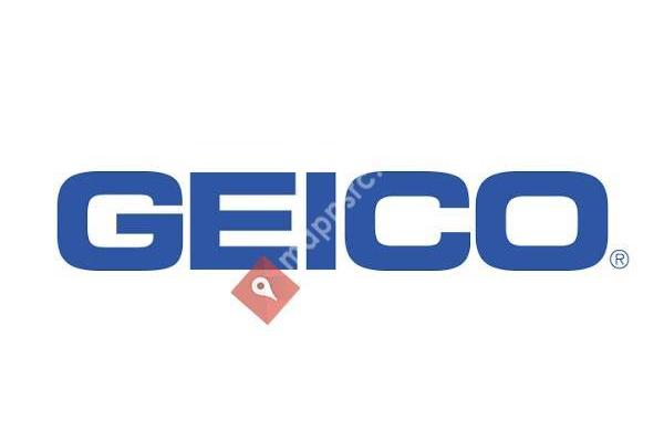 GEICO Insurance Agent