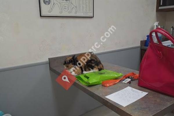 Genesee Valley Veterinary Hospital