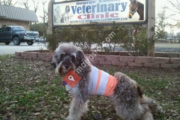 George County Veterinary Clinic