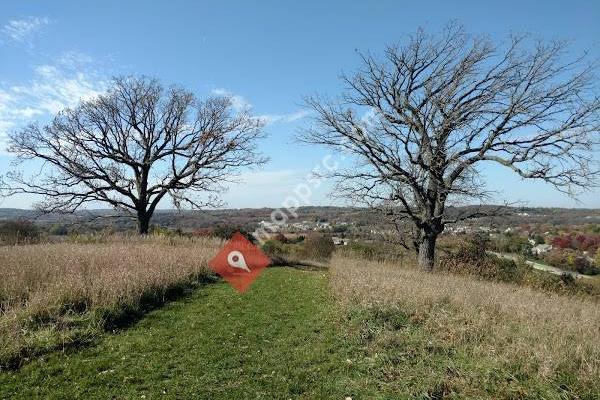 Glacial Cone Park