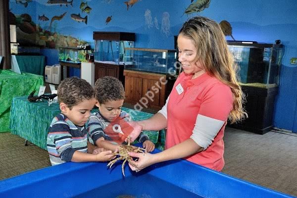 Glen Echo Park Aquarium