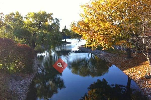 Glenbrook Apartments