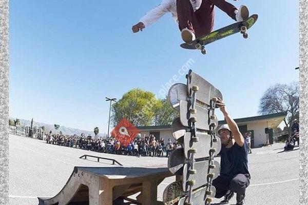 Go Go Skateboarding Lessons