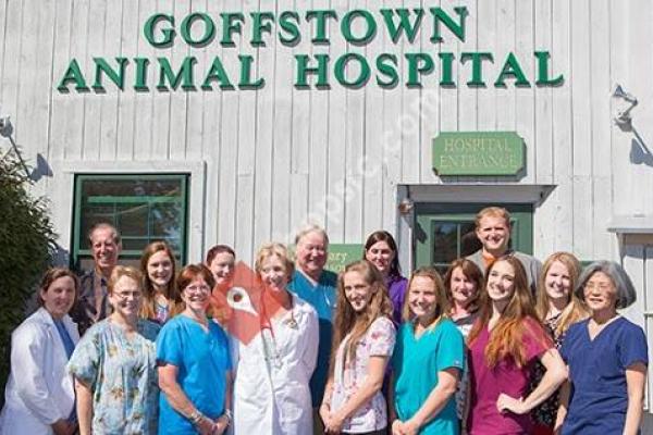 Goffstown Animal Hospital