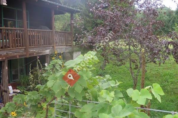 Grace Grange Lodge & Stable