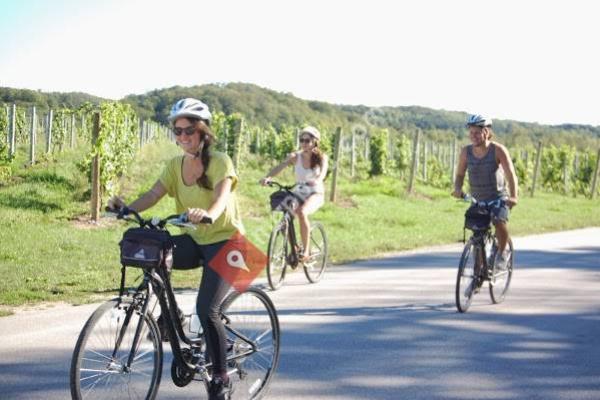 Grand Traverse Bike Tours