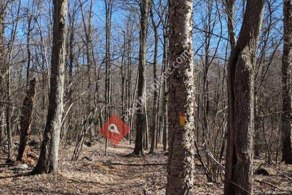 Granniss Pond Trail Loop - Litchfield Land Trust