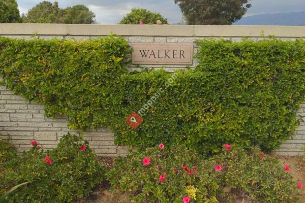 Grave of Paul Walker