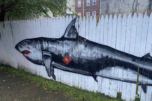 Great White Shark Mural