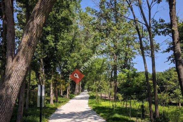 Green Bay Trail