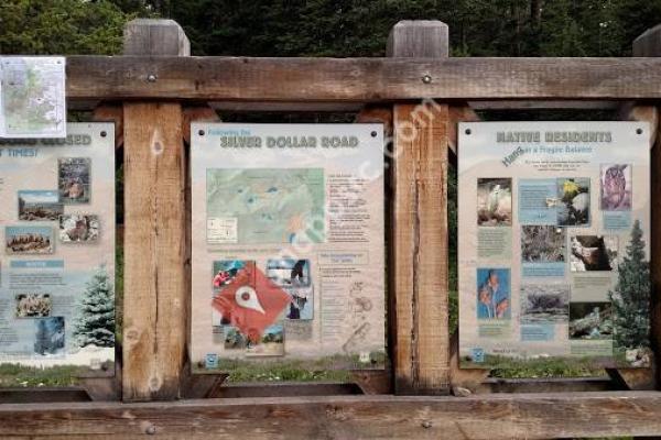 Guanella Pass Campground