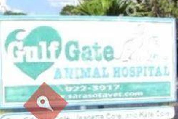 Gulf Gate Animal Hospital