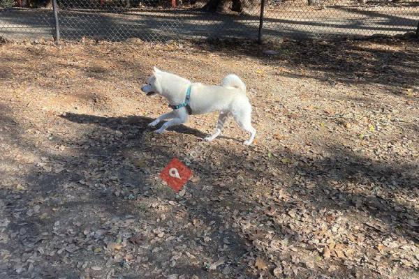 Hacienda Dog Park