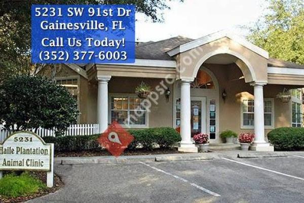 Haile Plantation Animal Clinic