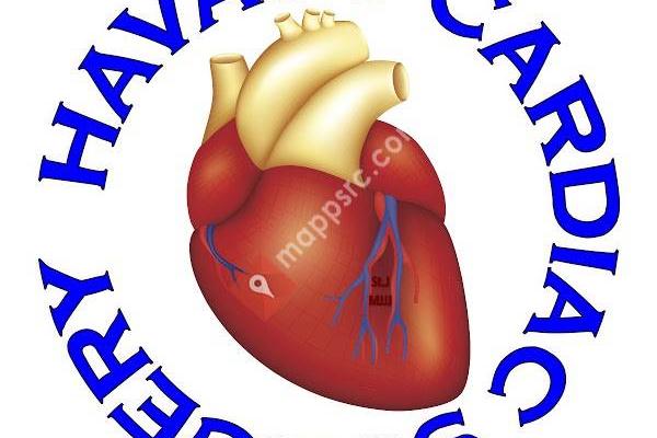 Havasu Cardiac Surgery: Pankaj Kulshrestha MD