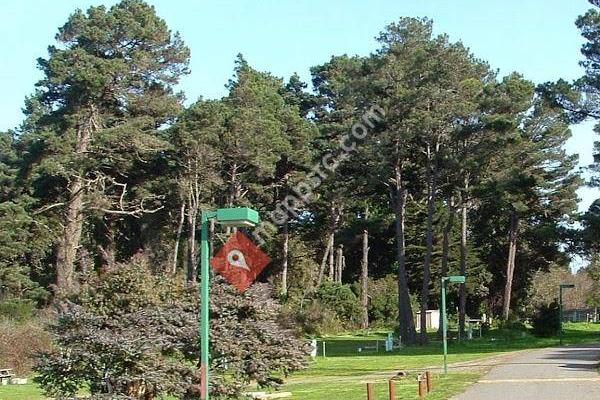 Hidden Pines RV Park and Campground
