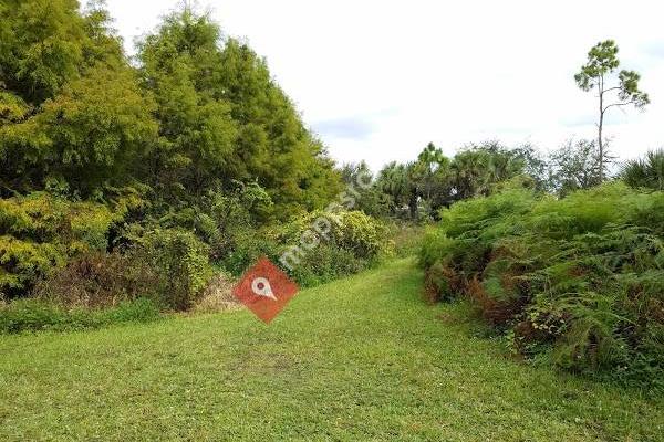 Hillsboro Pineland Natural Area