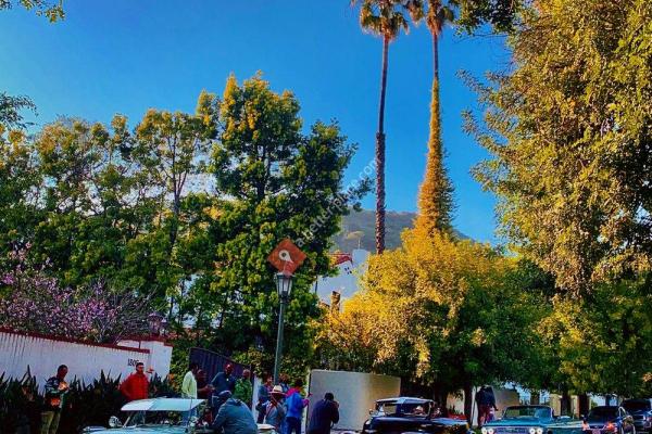 Hollywood Walking And Hiking Tour - Epic LA Views