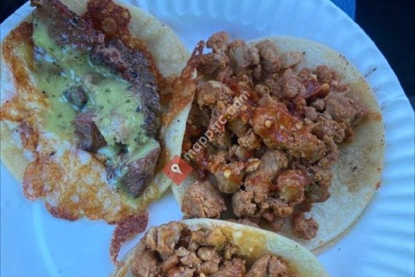 Huicholes Mar Y Tierra