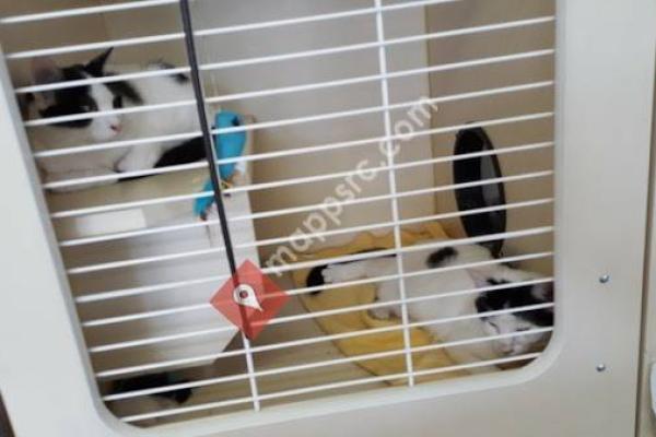 Humane Society of Lebanon County Thrift Shop