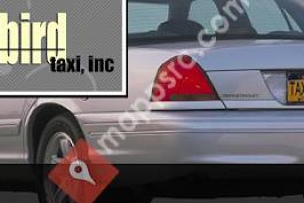 Hummingbird Taxi & Car Service