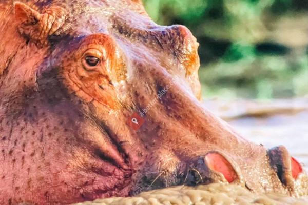 Illuminarium Atlanta