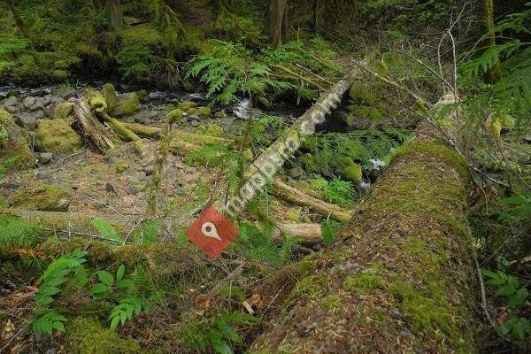 Indian Henry Campground