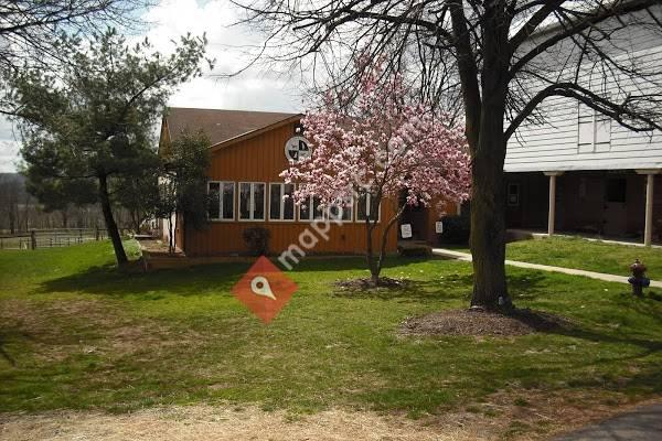 Ironstone Veterinary Hospital